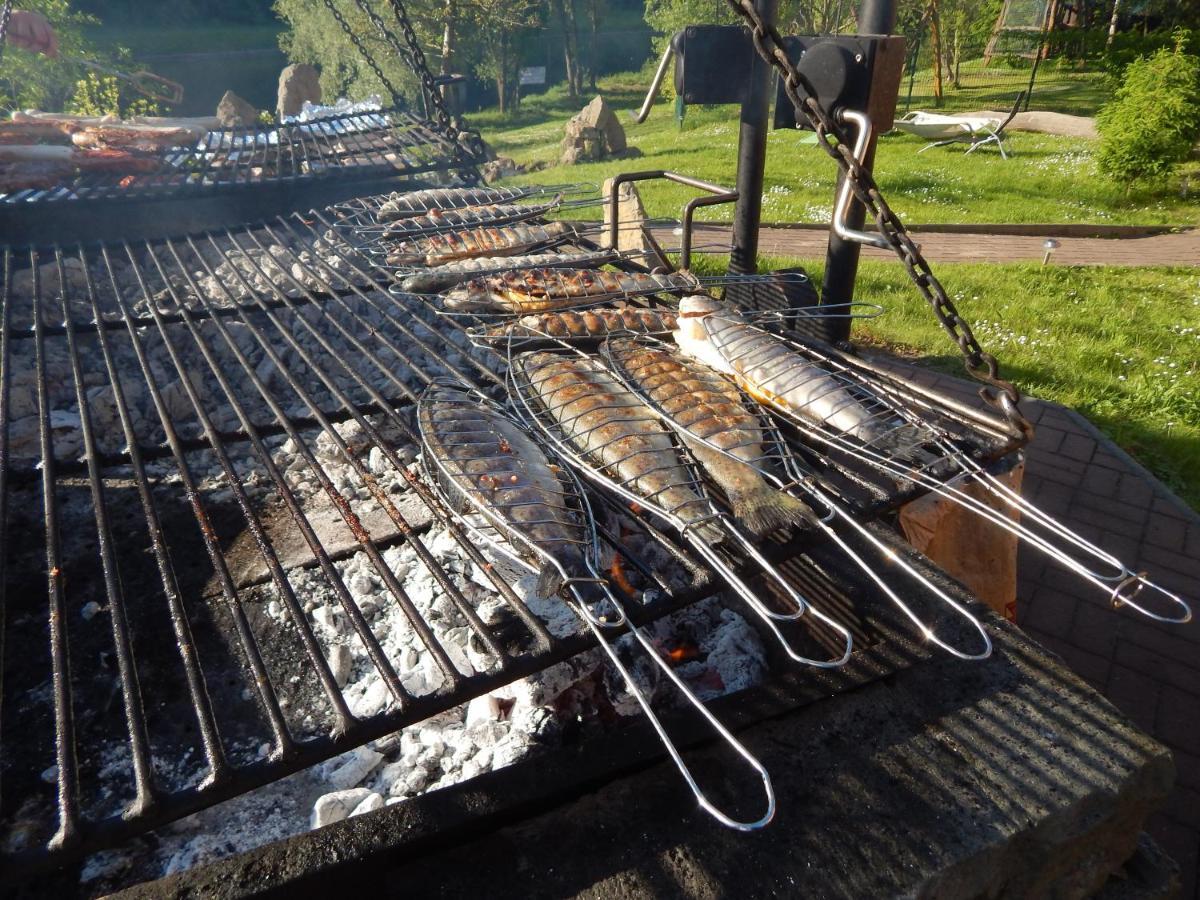 Campingplatz Am Treidlerweg Königstein an der Elbe Zewnętrze zdjęcie