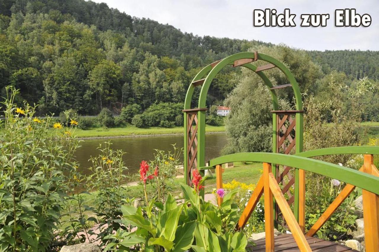 Campingplatz Am Treidlerweg Königstein an der Elbe Zewnętrze zdjęcie