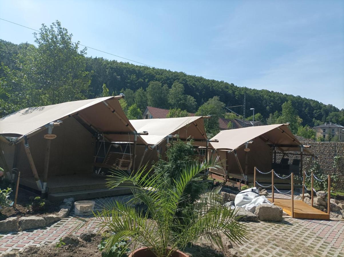 Campingplatz Am Treidlerweg Königstein an der Elbe Zewnętrze zdjęcie